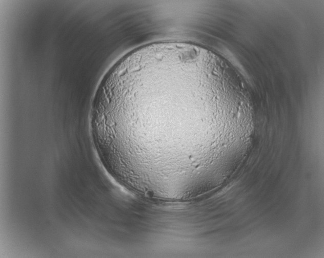 X0000074961484200609221744