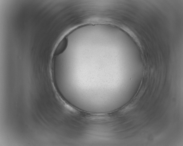 X0000074961486200609221744