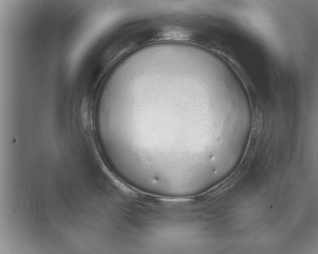 X0000074961487200609221744