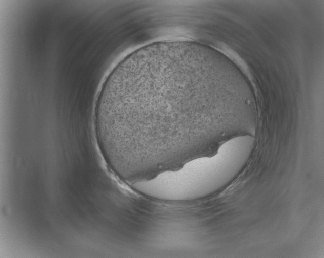 X0000074961488200609221744