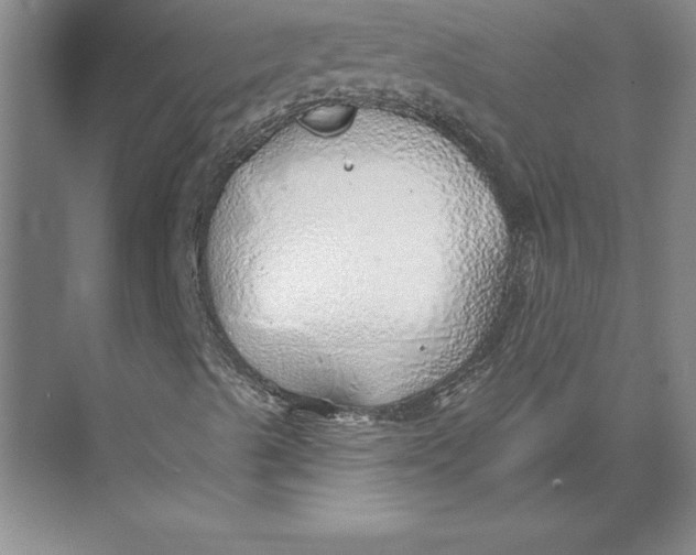 X0000074961489200609221743