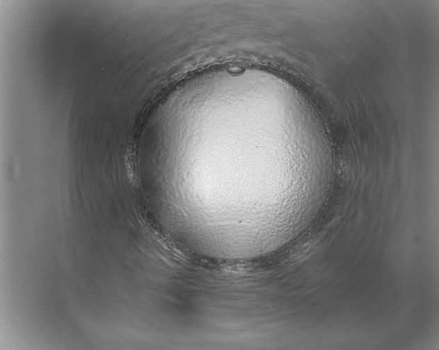 X0000074961490200609221743