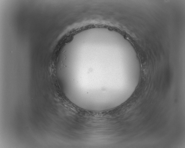 X0000074961495200609221743