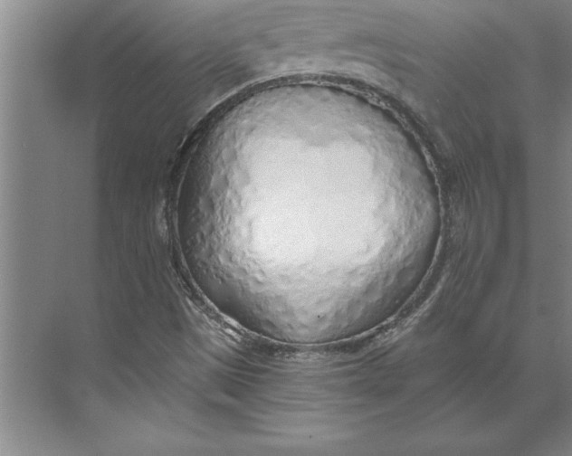 X0000074961497200609221743