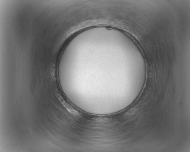 X0000074961499200609221743