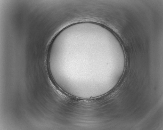 X0000074961500200609221743