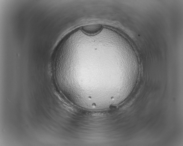 X0000074961501200609221743