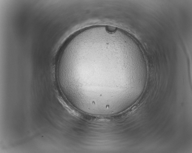 X0000074961503200609221743