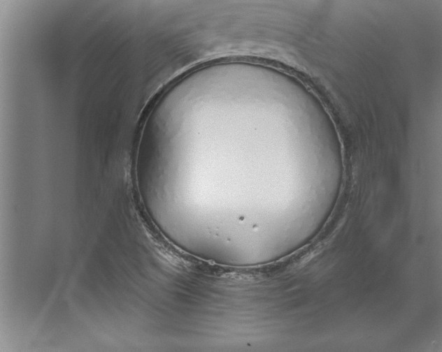 X0000074961505200609221743