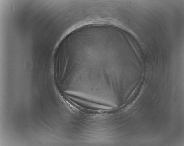 X0000074961506200609221743