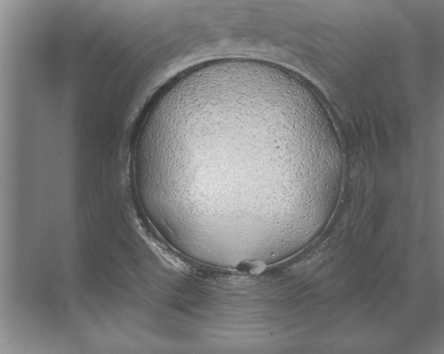 X0000074961507200609221743