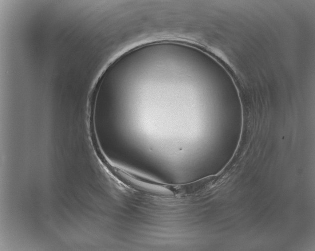 X0000074961508200609221743