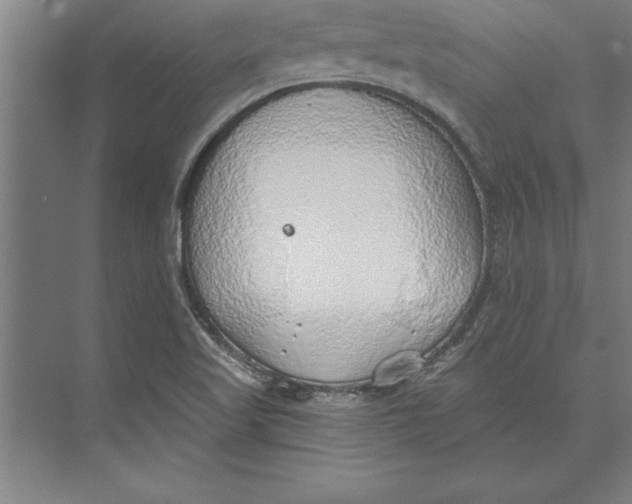 X0000074961509200609221743