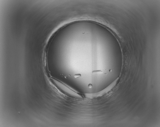 X0000074961510200609221743