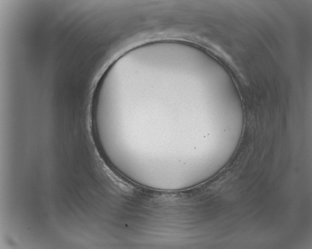 X0000074961512200609221743