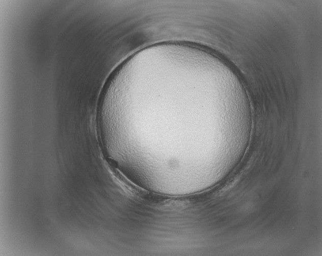 X0000074961513200609221743