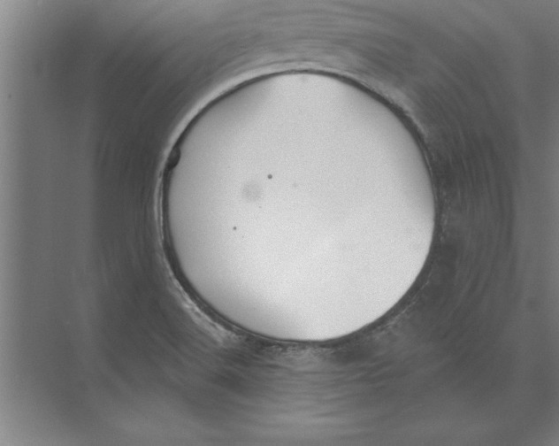 X0000074961516200609221743