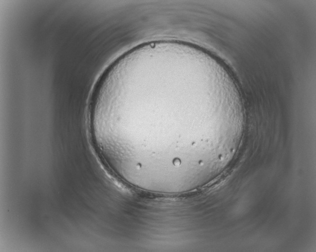 X0000074961517200609221744