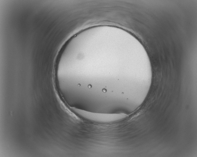 X0000074961518200609221744