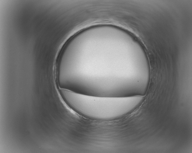 X0000074961519200609221744