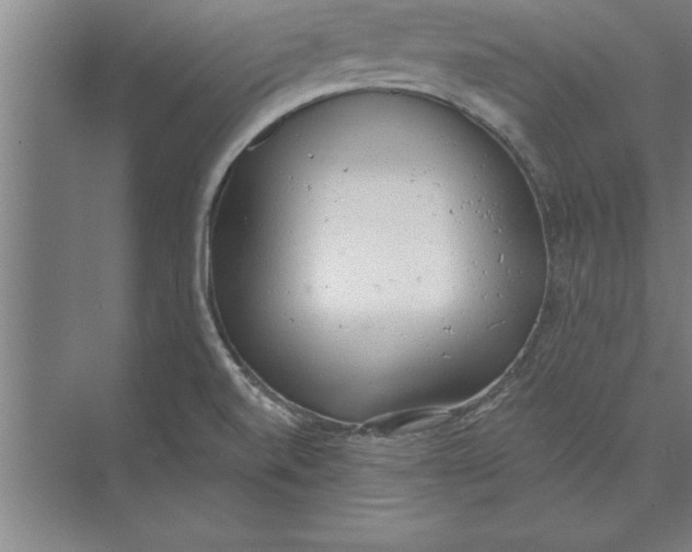 X0000074961520200609221744