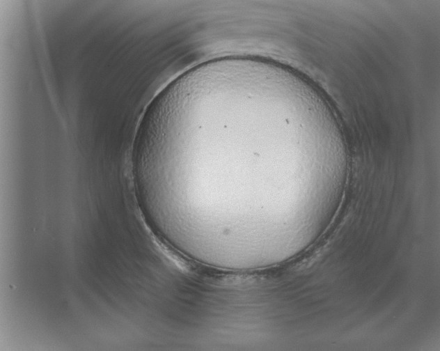 X0000074961521200609221744