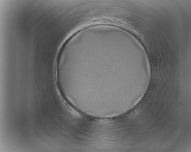 X0000074961522200609221744