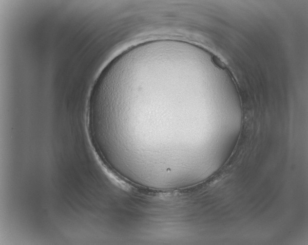 X0000074961523200609221744