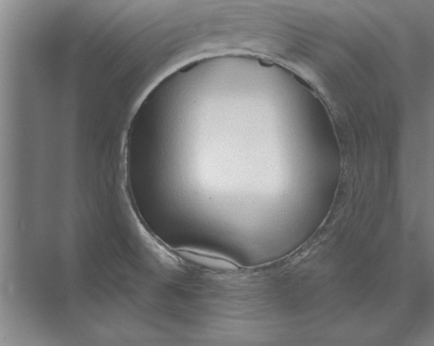 X0000074961524200609221744