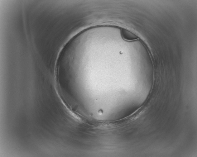 X0000074961525200609221744