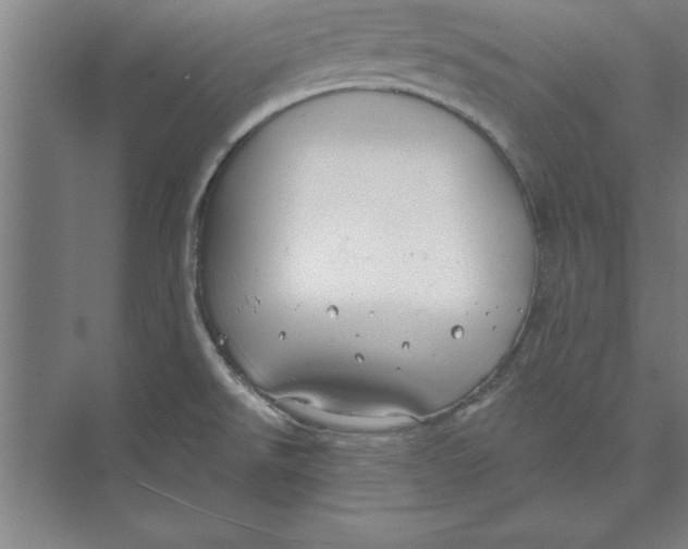 X0000074961526200609221744