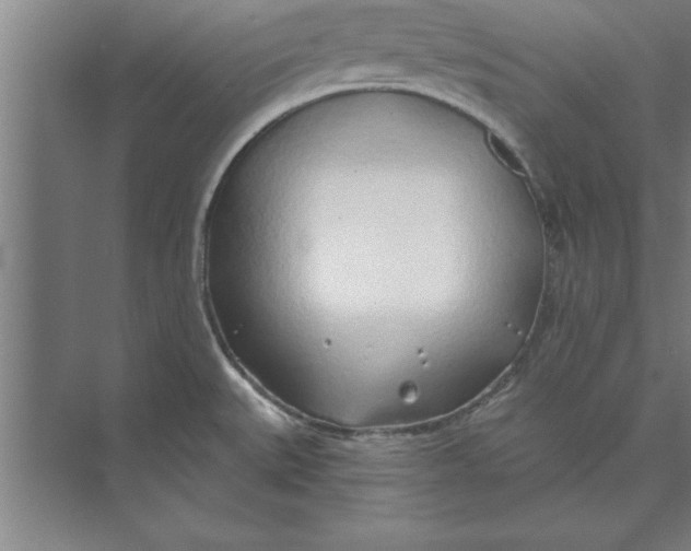 X0000074961527200609221744