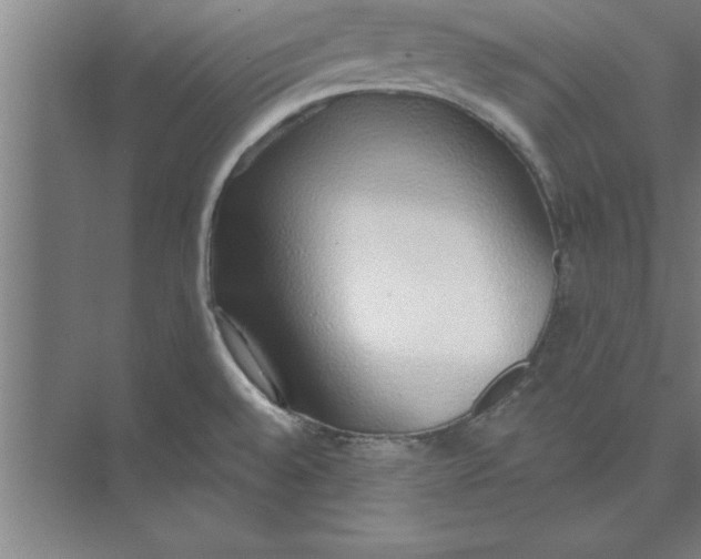 X0000074961528200609221744