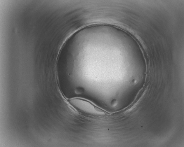 X0000074961529200609221744