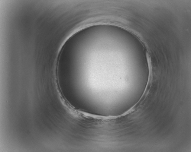 X0000074961530200609221744