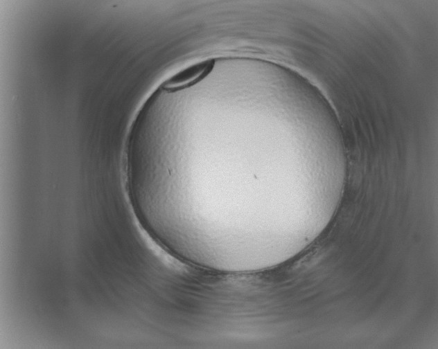 X0000074961531200609221744