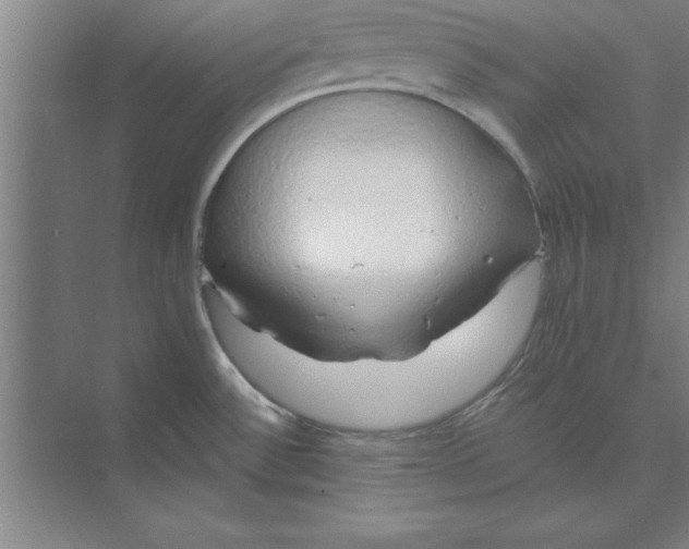 X0000074961532200609221744