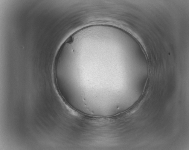 X0000074961533200609221744