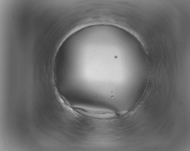 X0000074961534200609221744