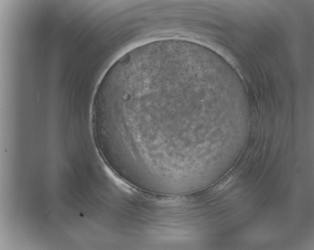 X0000074961535200609221744