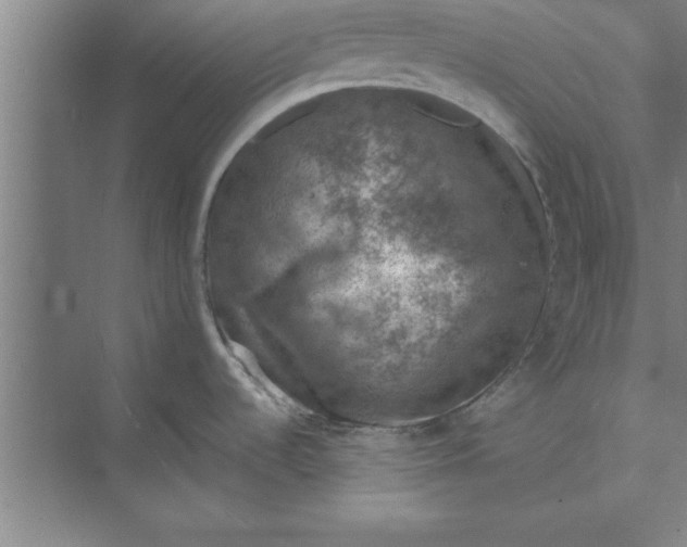 X0000074961536200609221744