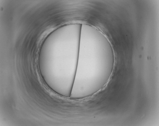 X0000074960001200609291924