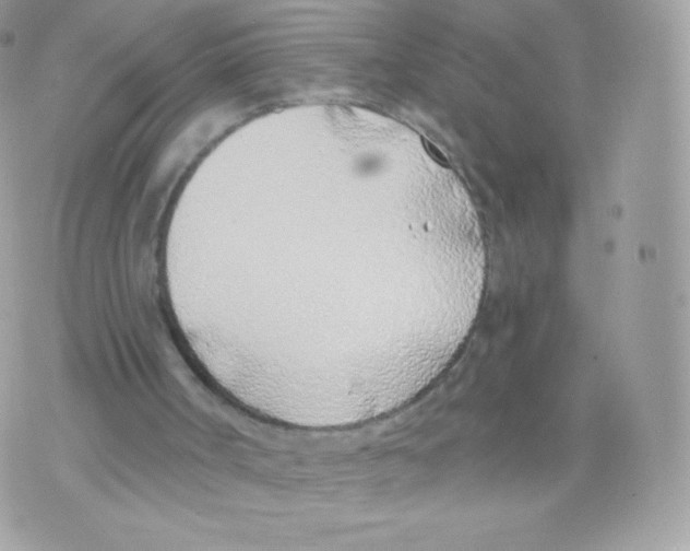 X0000074960002200609291924