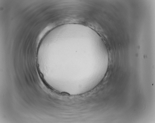 X0000074960003200609291924