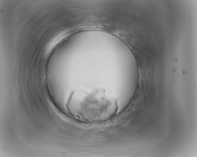 X0000074960005200609291924