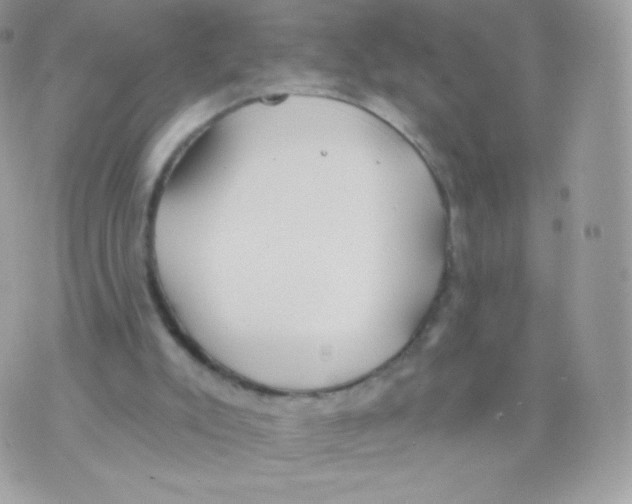 X0000074960007200609291924