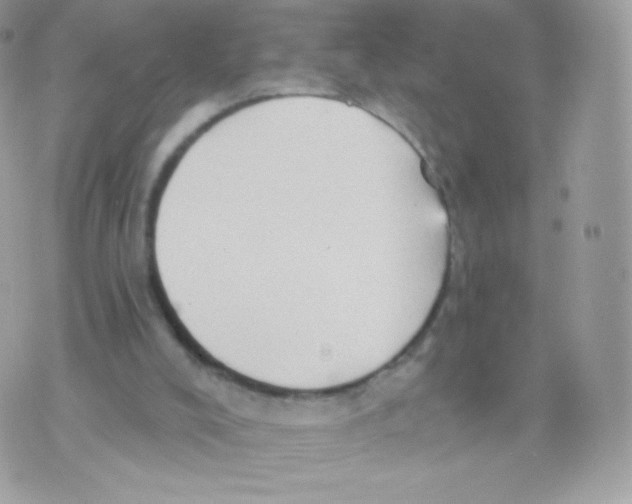 X0000074960008200609291924