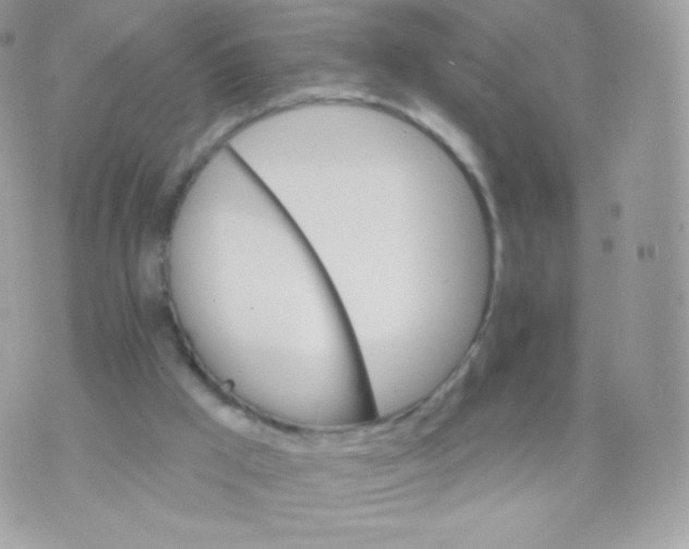 X0000074960009200609291924