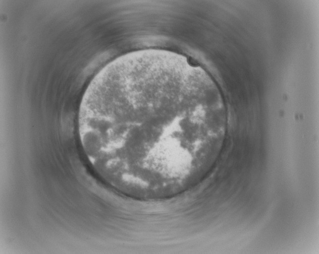 X0000074960010200609291924