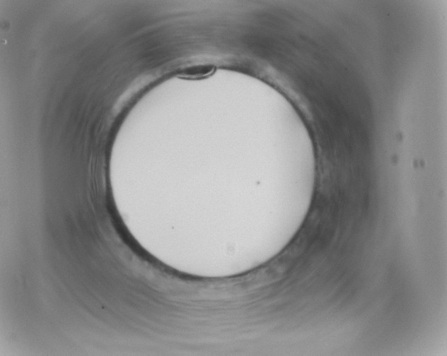 X0000074960011200609291924